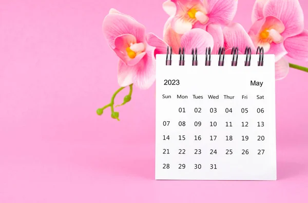 May 2023 calendar desk and pink orchid on pink background.