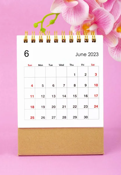 Června 2023 Kalendář Stůl Růžová Orchidej Růžovém Pozadí — Stock fotografie