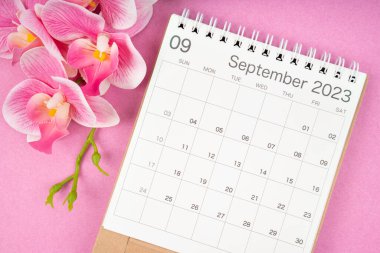 Eylül 2023 takvim masası ve pembe arkaplanda pembe orkide.