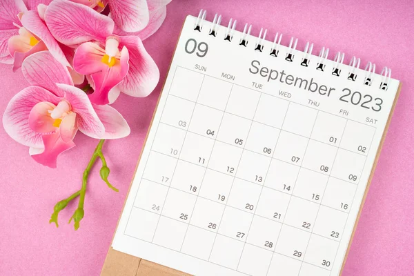 stock image September 2023 calendar desk and pink orchid on pink color background.