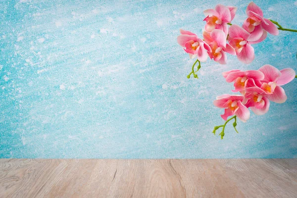 Sol Bois Mur Bleu Avec Orchidée Couleur Rose Décorer Chambre — Photo