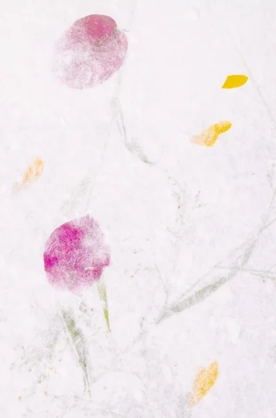Maulbeerpapier Mit Blume Textur Hintergrund — Stockfoto