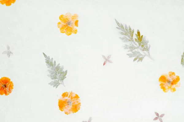 Modrofialový Papír Květinová Textury Pozadí — Stock fotografie