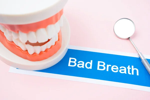 Teeth model with Bad Breath dental disease on pink color background.