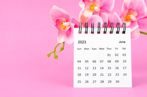 June 2023 calendar desk and pink orchid on pink background.