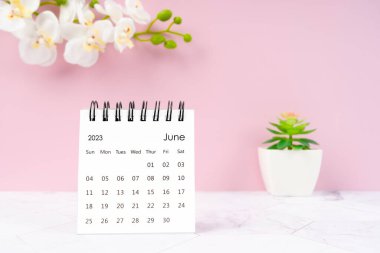 Haziran 2023 masa takvimi ve beyaz orkide bir pembe renk arkaplanı.
