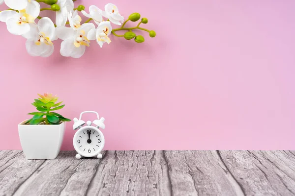 目覚まし時計と蘭の花が飾られた木製の床とピンクの色の壁 背景のための空の部屋 — ストック写真