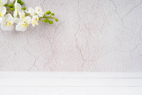 Suelo Madera Pared Cemento Viejo Con Orquídea Blanca Decoran Sitio —  Fotos de Stock