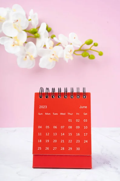 赤いカレンダー2023年6月 2023年のデスクカレンダーとピンクの背景のピンクの蘭 — ストック写真