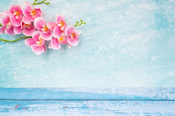 Suelo Madera Pared Cemento Azul Viejo Con Orquídea Decora Sitio — Foto de Stock