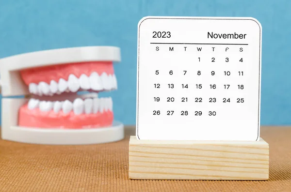 Novembro 2023 Calendário Mensal Para 2023 Ano Com Dente Modelo — Fotografia de Stock