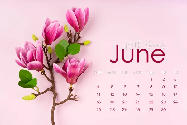 Juin 2023 Page Calendrier Avec Fleur Magnolia Rose Sur Fond — Photo