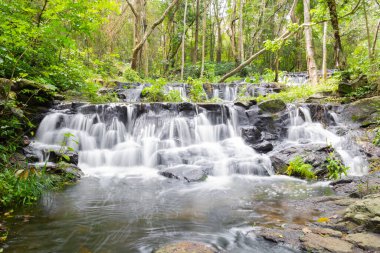 İnanılmaz güzel Sam Lan şelaleleri, Saraburi 'deki Khao Sam Lan Ulusal Parkı Tayland