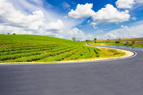 stock image Choui Fong tea plantation and road with blue sky at Mae jan , tourist attraction at Chiang Rai province in thailand