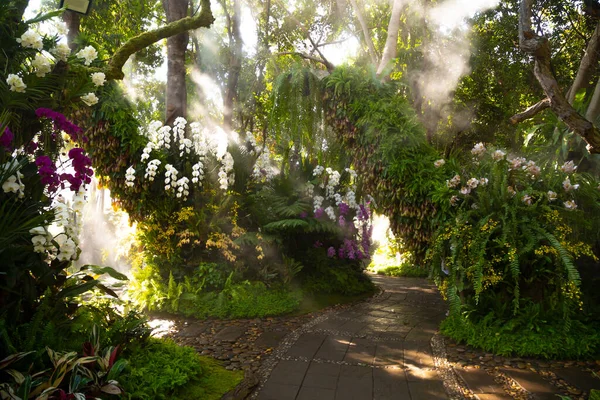 Walkway Colorful Orchids Garden — Stock Photo, Image