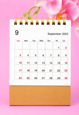 Eylül 2023 takvim masası ve pembe arkaplanda pembe orkide.