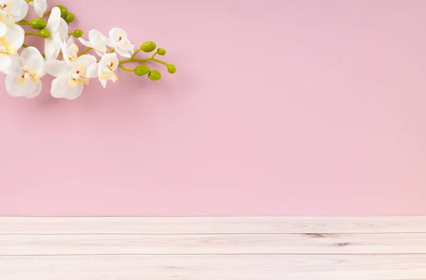 木製の床と白い蘭はピンクの色の背景に飾る 背景のための空の部屋 — ストック写真
