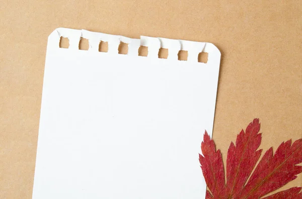 秋のもみじの木の葉が茶色の背景に空白のメモ用紙 — ストック写真