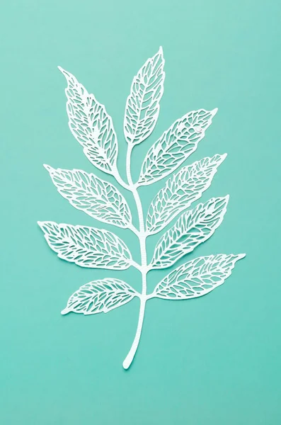 Carve of white paper leaves on a light green cardboard background.