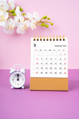 Eylül 2023 takvim masası ve alarm rengi pembe arkaplanda beyaz orkide.