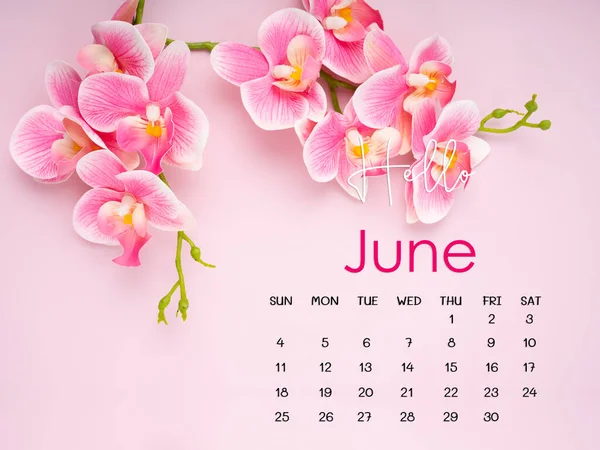 Giugno 2023 Pagina Del Calendario Con Orchidea Rosa Sfondo Rosa — Foto Stock