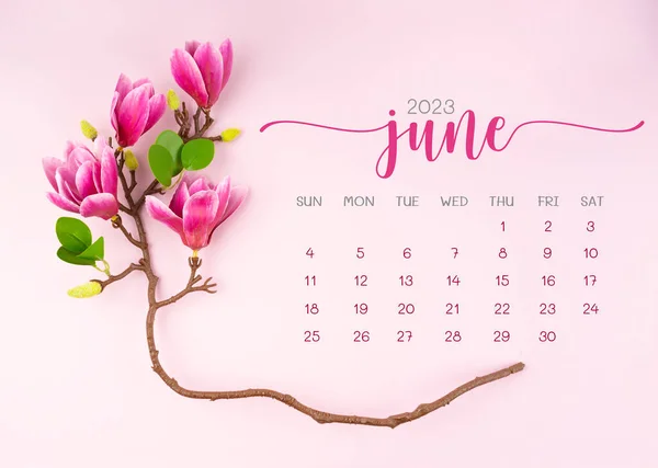 June 2023 Calendar Page Pink Magnolia Flower Pink Background — Stock Photo, Image