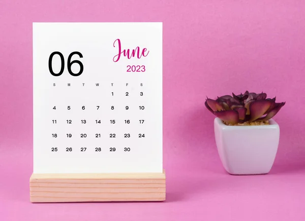 Juni 2023 Maandelijkse Bureaukalender Voor 2023 Jaar Met Plantenpot Roze — Stockfoto