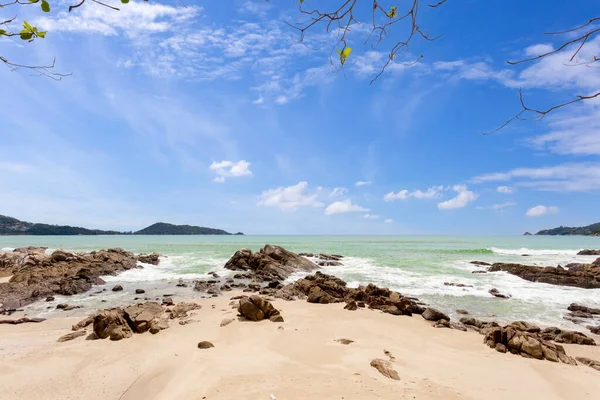 Yaz tatili ve yaz mevsiminde tropik plajlarda güzel yapraklar çerçeveli ağaçlar konsepti