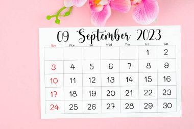Eylül 2023 takvim sayfası ve pembe arkaplanda pembe orkide.