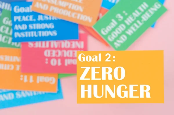 目標2 飢餓ゼロ Sdgs 17の開発目標環境 環境開発の考え方 — ストック写真