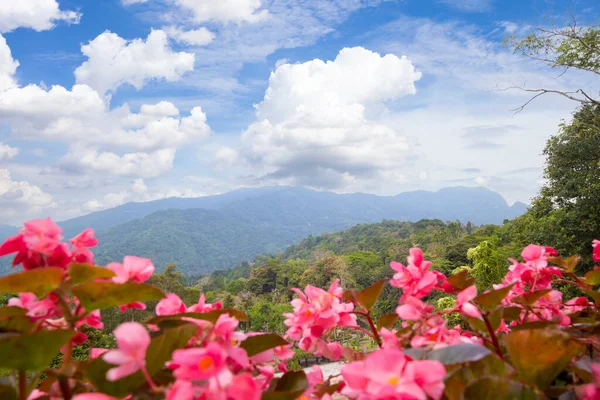 Paysage Naturel Surplombant Les Belles Montagnes Les Arbres Thaïlande — Photo