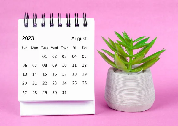 2023年8月ピンクの背景に植物鍋と2023年の毎月の机のカレンダー — ストック写真