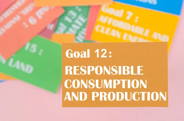 目標12 責任ある消費と生産 Sdgs 17の開発目標環境 環境開発の考え方 — ストック写真