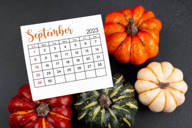 2024 Eylül takvim sayfası ve balkabakları siyah arkaplanda.