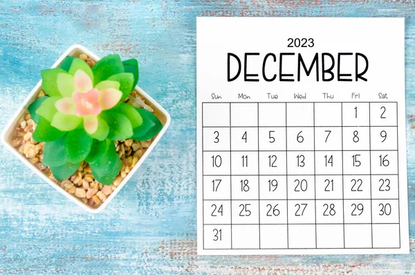 December 2023 Monthly Calendar Plant Pot Wooden Background — Stock Photo, Image