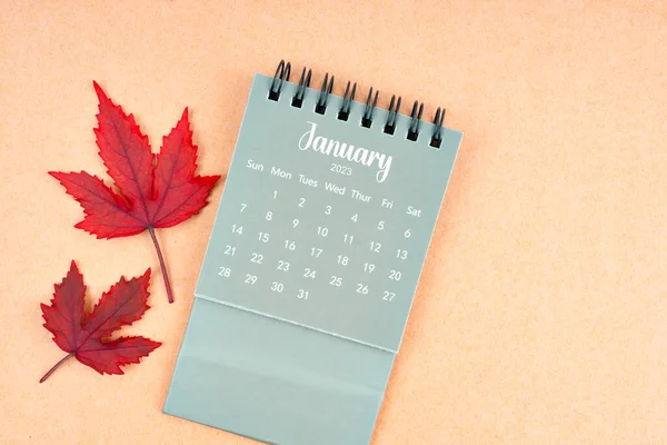 January 2024 monthly calendar and fall leaves on brown background.