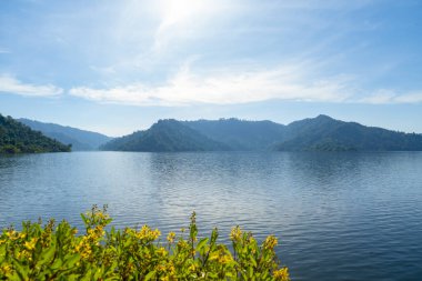 Ocak 2024 takvim ve pembe kumaş arka planında açık günlüğü olan kalem. Aylık takvim kavramı.