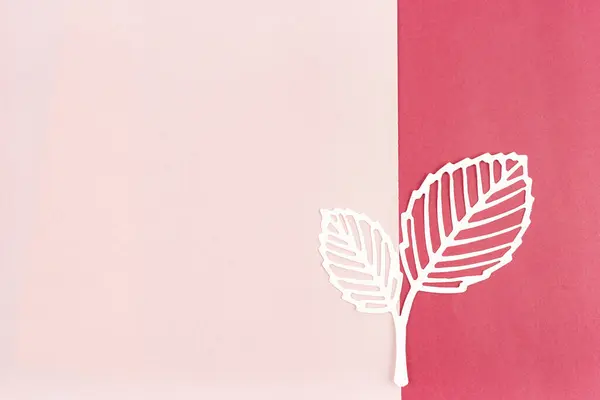 Carve of white paper leaves on a pink color background, position with copy space.