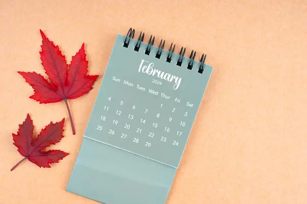 February 2024 monthly calendar and fall leaves on brown background.