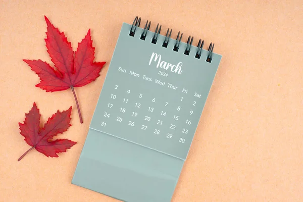 March 2024 monthly calendar and fall leaves on brown background.