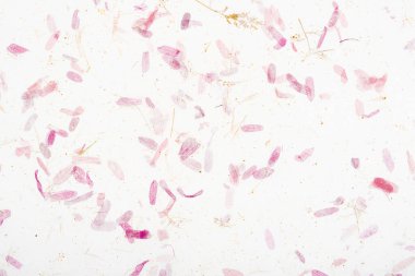 El yapımı geri dönüşümlü çiçek ve yaprak kağıdı arka planı.