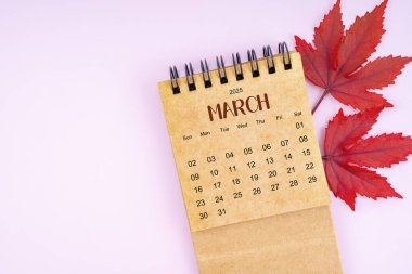 Mart 2025 Aylık Takvim ve Sonbahar Yaprakları pembe renkli arka planda. Kopyalama alanı olan konum.