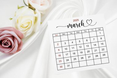 Mart 2025 takvim sayfası ve gül çiçeği beyaz saten tekstil arkaplanı.
