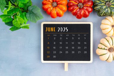 Yukarıdan sade Haziran 2025 takvimine balkabakları ve yeşil yapraklarla donatılmış olarak bak.