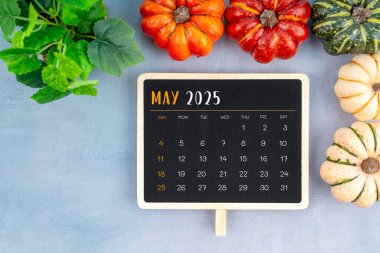Yukarıdan sade Mayıs 2025 takvimine bakınız Kabaklar ve yeşil yapraklarla süslenmiş.