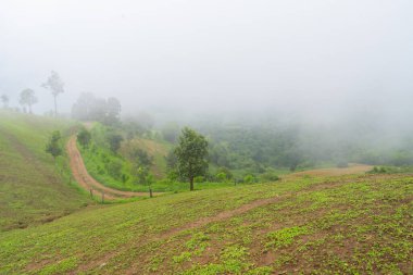Tayland 'ın kuzeyindeki Chiang Mai eyaletindeki dağların güzel manzarası..