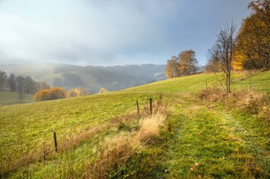 Mavi sisli gökyüzü altında yeşil çayırlar ve ağaçlarla dolu renkli sonbahar manzarası - Çek Cumhuriyeti, Avrupa