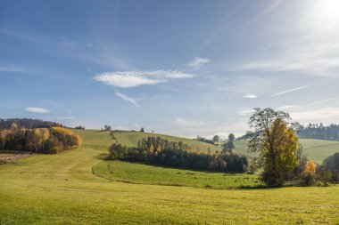 Sonbaharda mavi gökyüzü yeşil çayırlarla dolu - Çek Cumhuriyeti, Avrupa