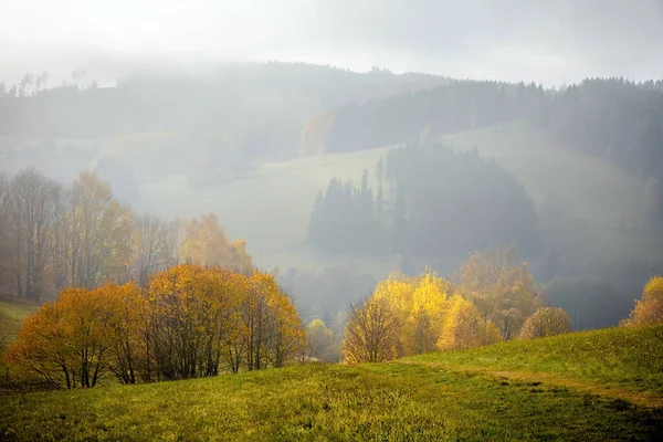 Colorido Paisaje Otoñal Neblina República Checa Europa — Foto de Stock