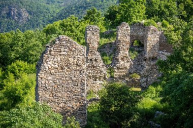 İlkbahar-yaz ormanlarında Templstejn veya Templstyn adı verilen Tapınak Kalesi 'nin kalıntıları - Çek Cumhuriyeti, Avrupa